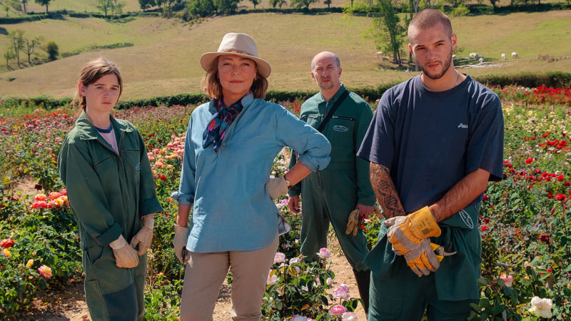 THE ROSE MAKER